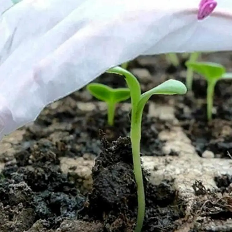 Защитная крышка от замерзания растений для овощей садовых цветов зимняя