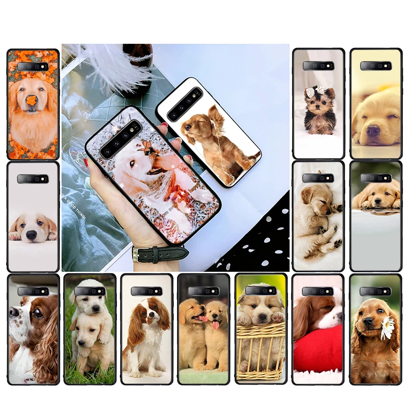 

Cute Puppy Dog Puppies Phone Case For Samsung S30 S22 S20 Ultra S20 S22 Plus S11 S10 S9 Plus S21 Plus S10E