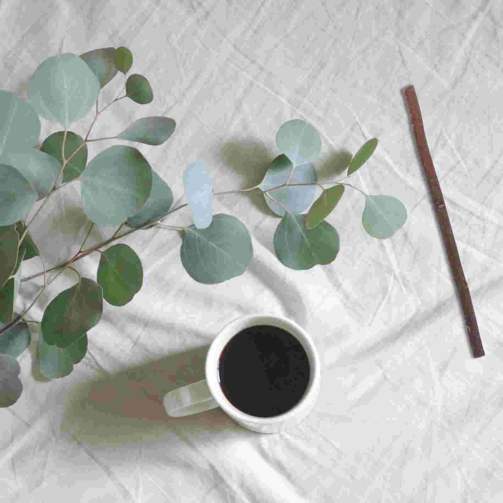 40 шт. ветка DIY материал декор поставки игрушки ремесленный орнамент нежные ветки