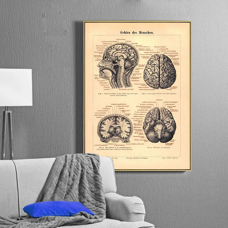 Постеры и печать на холсте с изображением человеческих сухожилий головы вены