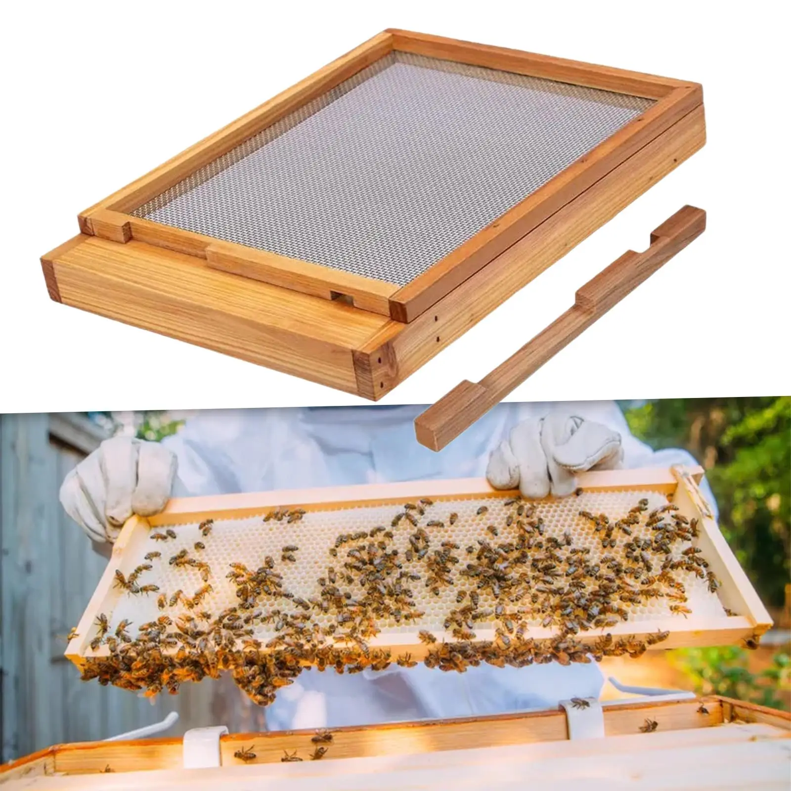 Экранированная нижняя доска для улья коробки ульев стартовый комплект пчелиных