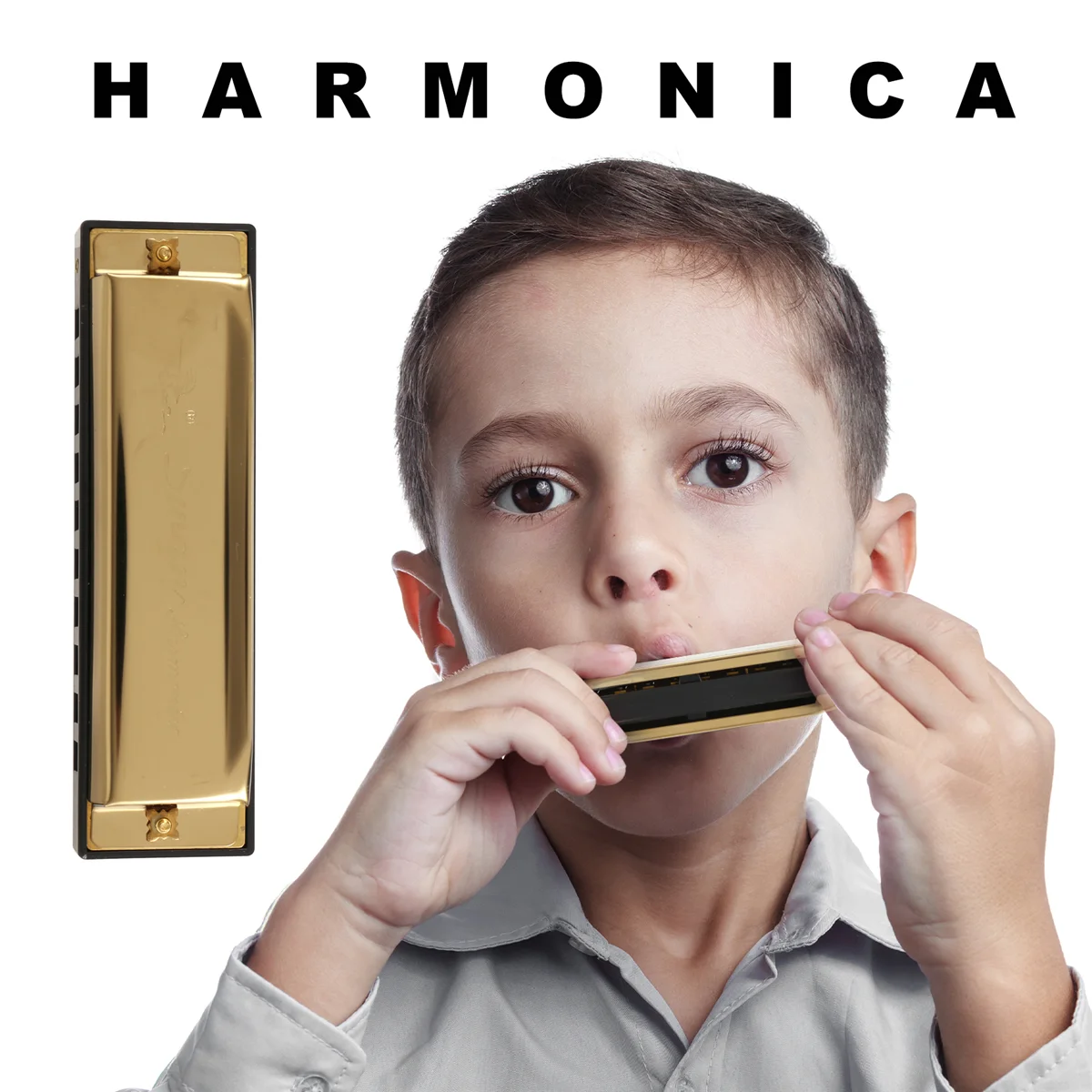 Губная гармошка Swan с 10 отверстиями Key of C GOLDEN футляром Blues Harp Metal Steel НОВИНКА