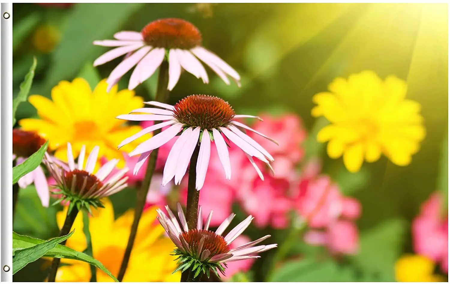 

Yellow Pink Red Flowers Blooming in Spring Summer Sunlight Seasonal 3x5 Foot Flag for Home House Outdoor Indoor Decor