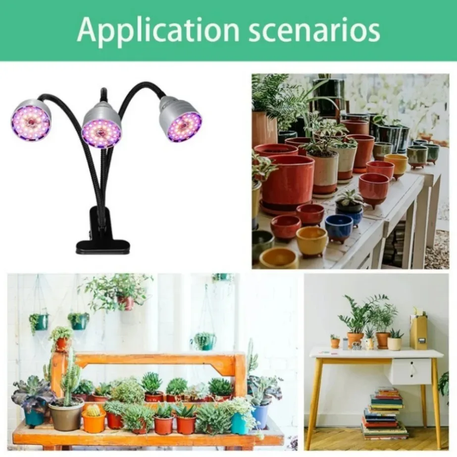 Рисунок 6 - Фотолюминесцентные фитолампы с полным спектром