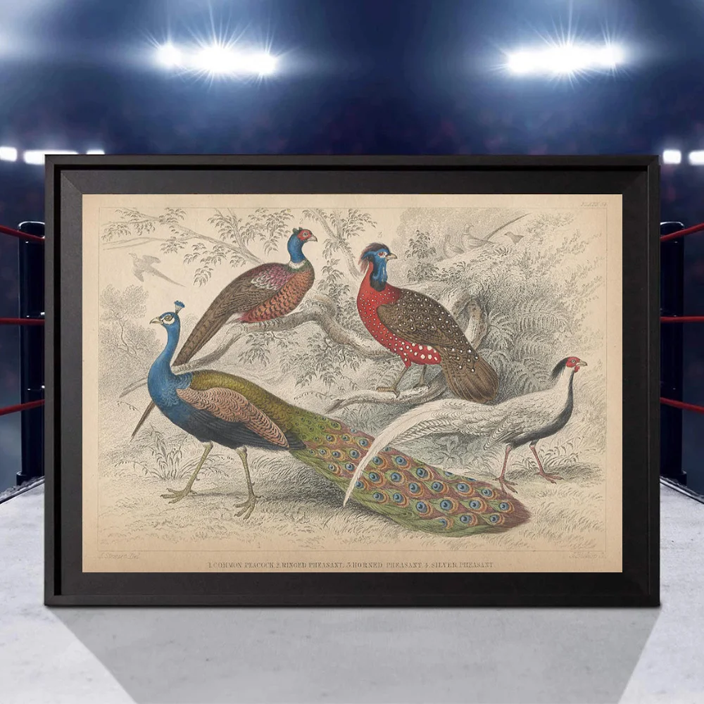 Винтажный плакат с изображением природы Оливера золотого Смита история земли и