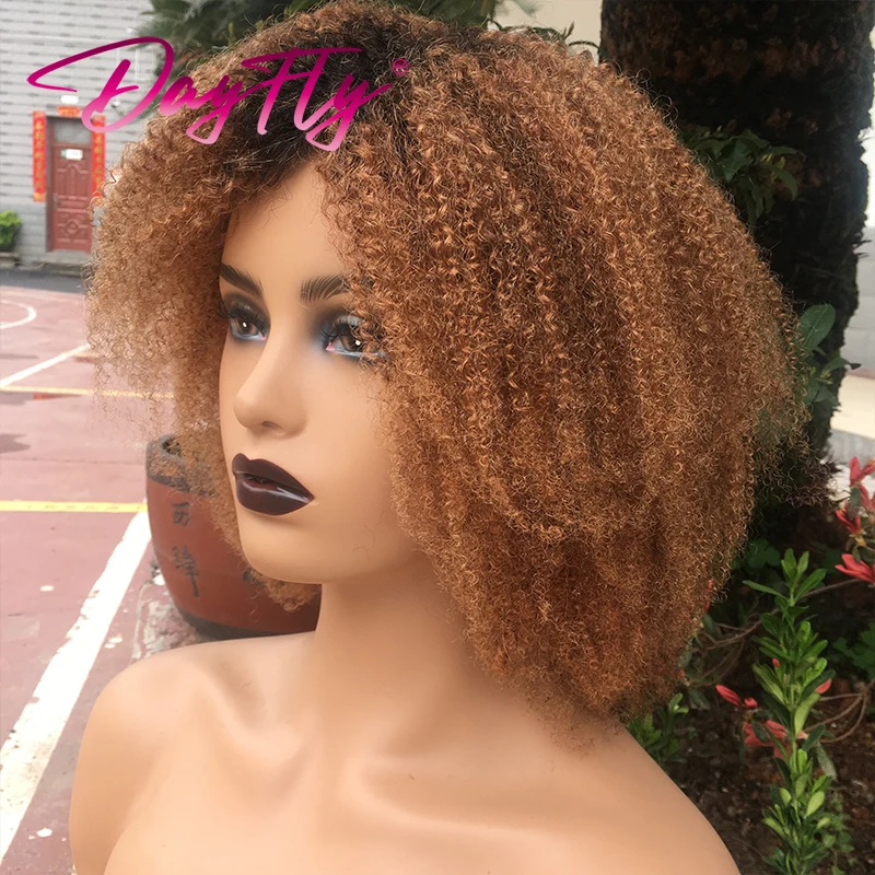 Ed Brazilian Hair Wig T1b 30 99j 150% Machine Made Wig