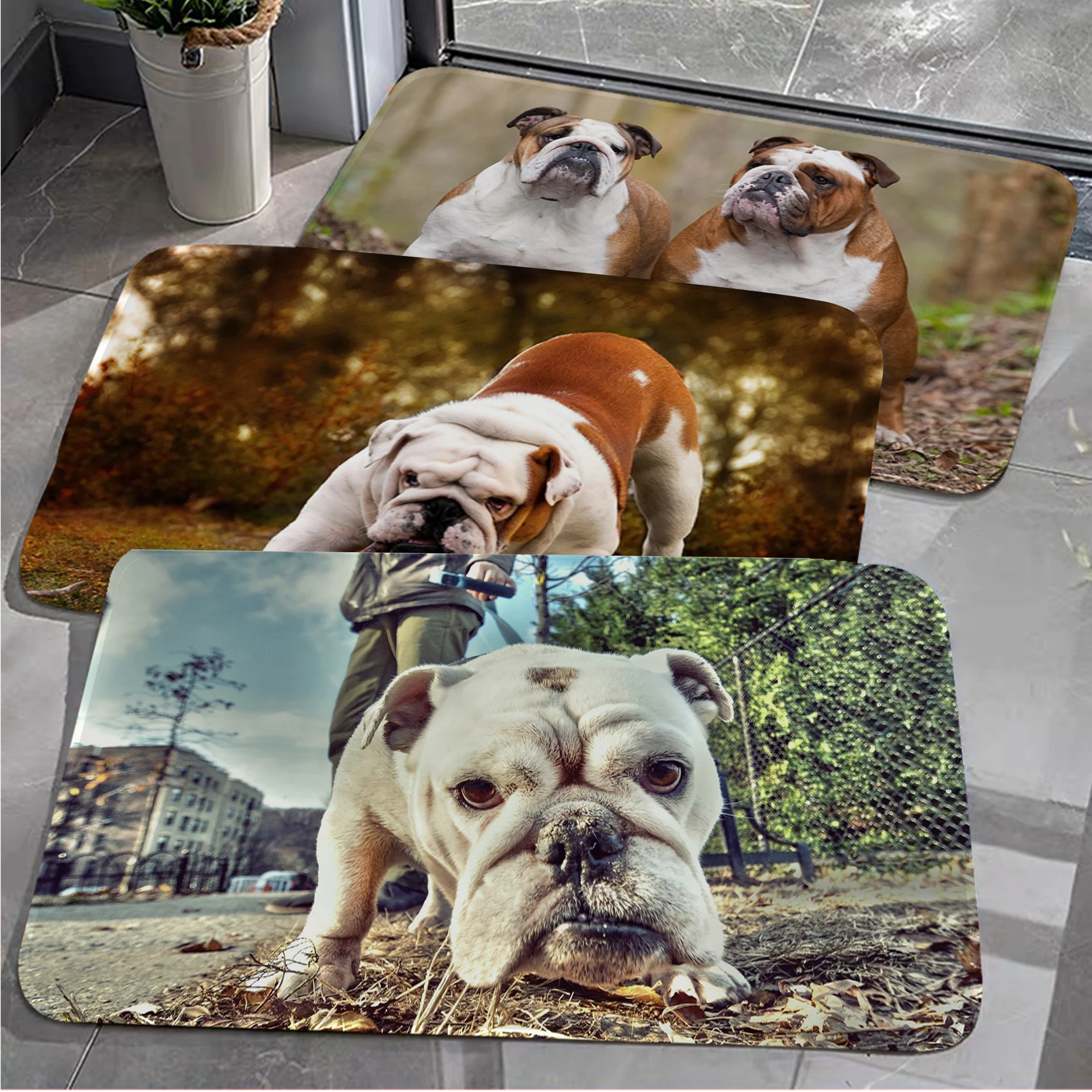 

Bulldog Hallway Carpet INS Style Soft Bedroom Floor House Laundry Room Mat Anti-skid Doormat Area Rug