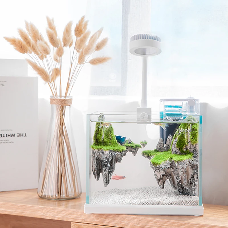 Маленький современный аквариум для золотых рыбок Filtro Glass Maxspect Shrimp, офисные столы, аквариум, ящик для наружных растений, виссенком, товары для домашних животных.
