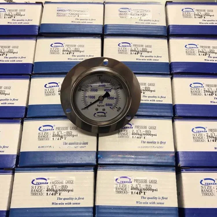 Датчик сейсмического давления TENHAN YN60 400 кг 600 10 МПа 250 гидравлический инструмент