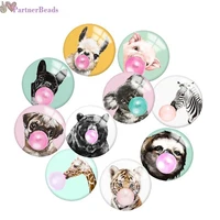 animal round photo glass cabochon demo flat back making findings 20mm snap button n2791