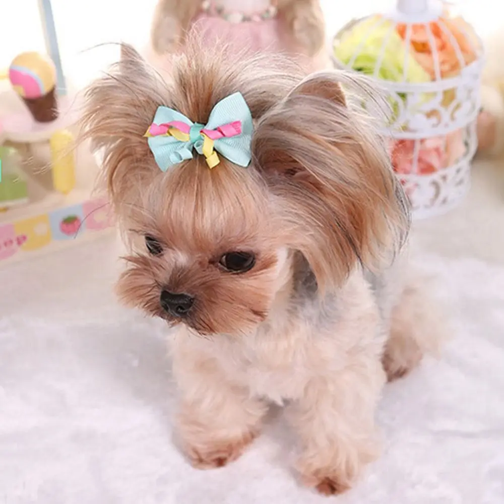 

1 шт., заколка для волос в виде милой собаки