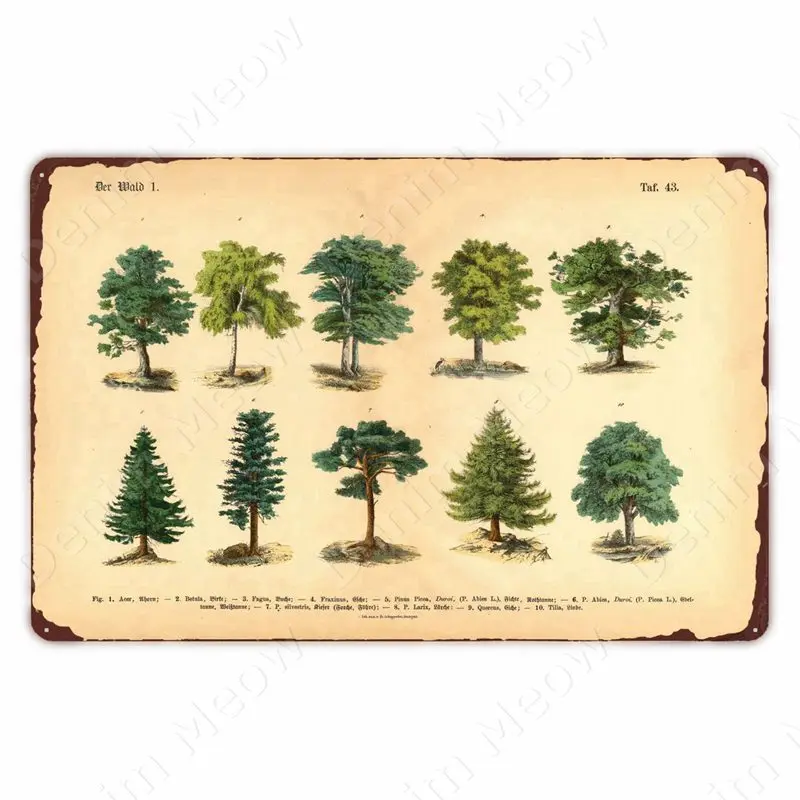 

Винтажная металлическая вывеска Denim Meow с дикими цветами