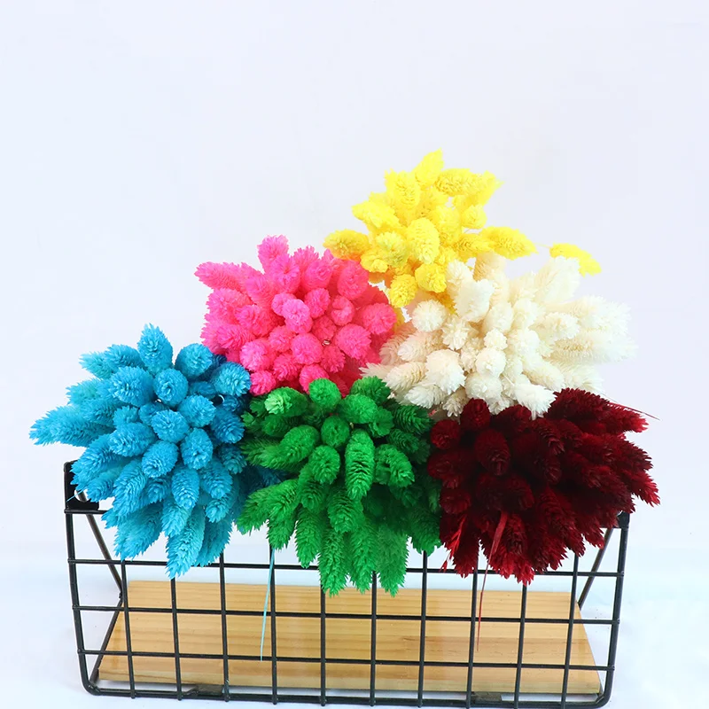 Букет сушеных цветов фалариса настоящий натуральный отбеленный