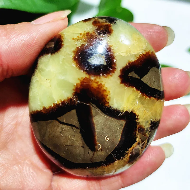 Натуральный камень септарийский Цериал лечебные кристаллы для пальмы Декоративные Коллекционные камни и кристаллы