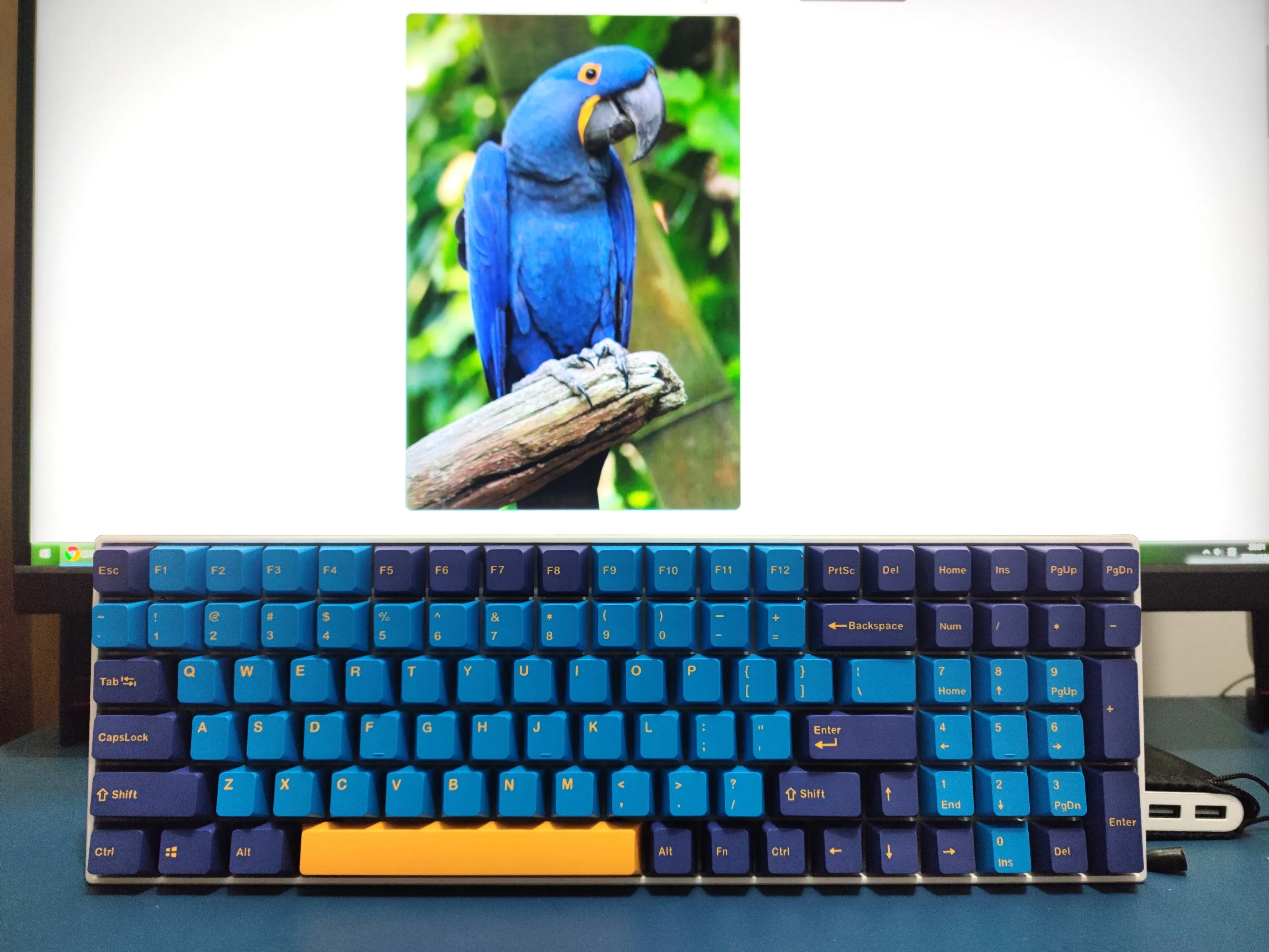 

1Set Nautilus 123 Key PBT OEM Profile Keycovers 2 Colors Double Shot Keycaps for Cherry MX Mechanical Keyboard GH60, 64, 68