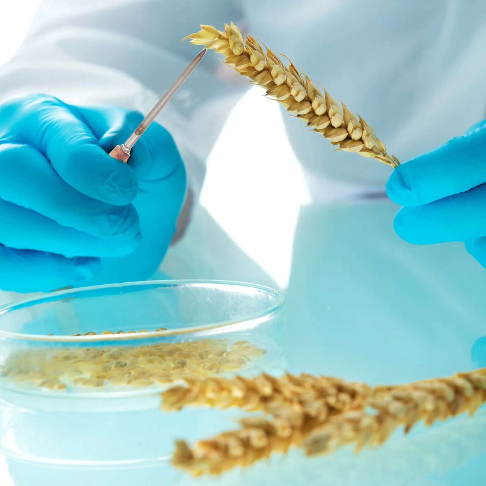 Пробоотборник зерна семян растений инструмент для отбора проб сельского