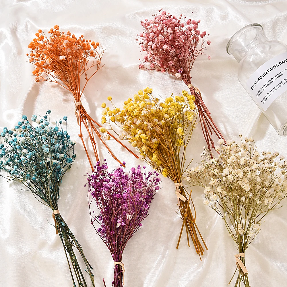 

New Mini Babysbreath Natural Fresh Dried Preserved Flowers Small Natural Dried Flowers Bouquet Dry Flower Press Mini Decorative