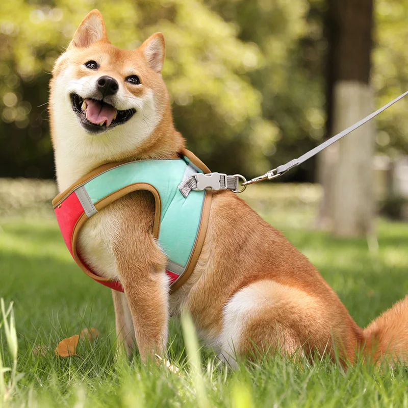 Жилет для домашних животных Воздухопроницаемый светящийся шнурок на грудь кошек