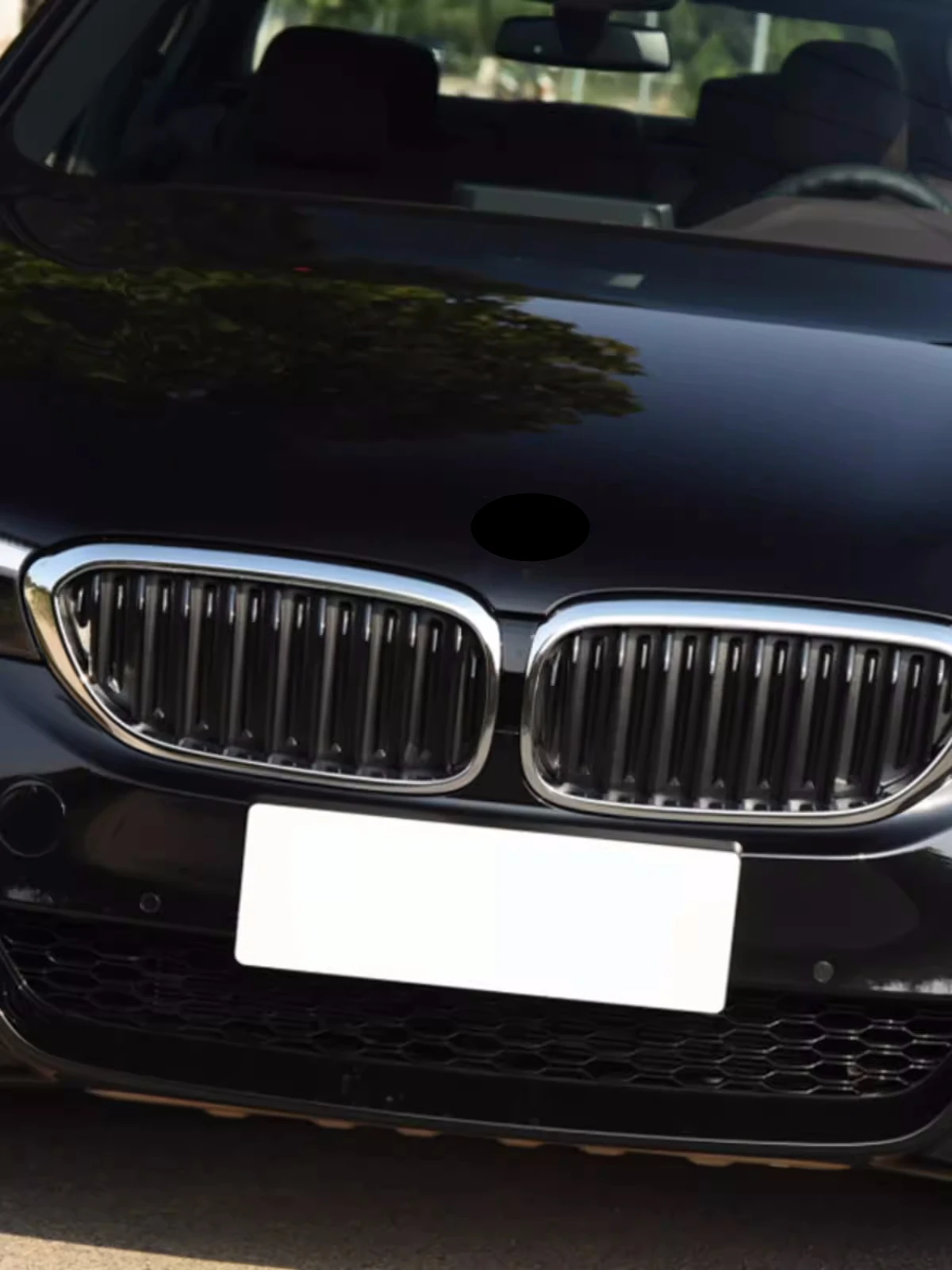 Решетка для переднего бампера автомобиля BMW 5 серии 525Li F18 F10 G30 G38 2011-20 маска сетка