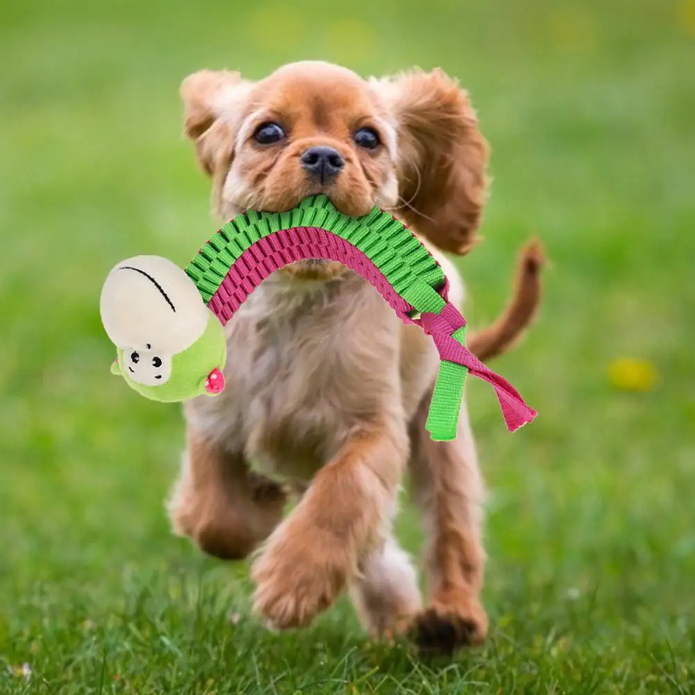 

Pet Dog Toy Cute Animals Head Braided Knot Bite Resistant Cleaning Teeth Toys Safety And Non-Toxicity Made Of Oxford Fabric