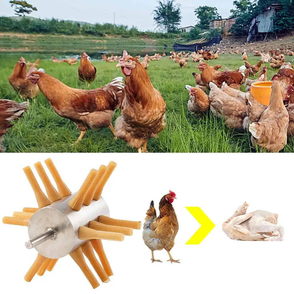 

Chicken Feather Plucker Machine Poultry Debeater Chicken Goose Poultry Drill Remover Duck Rooster Attachment Plucker Feathe G2m3