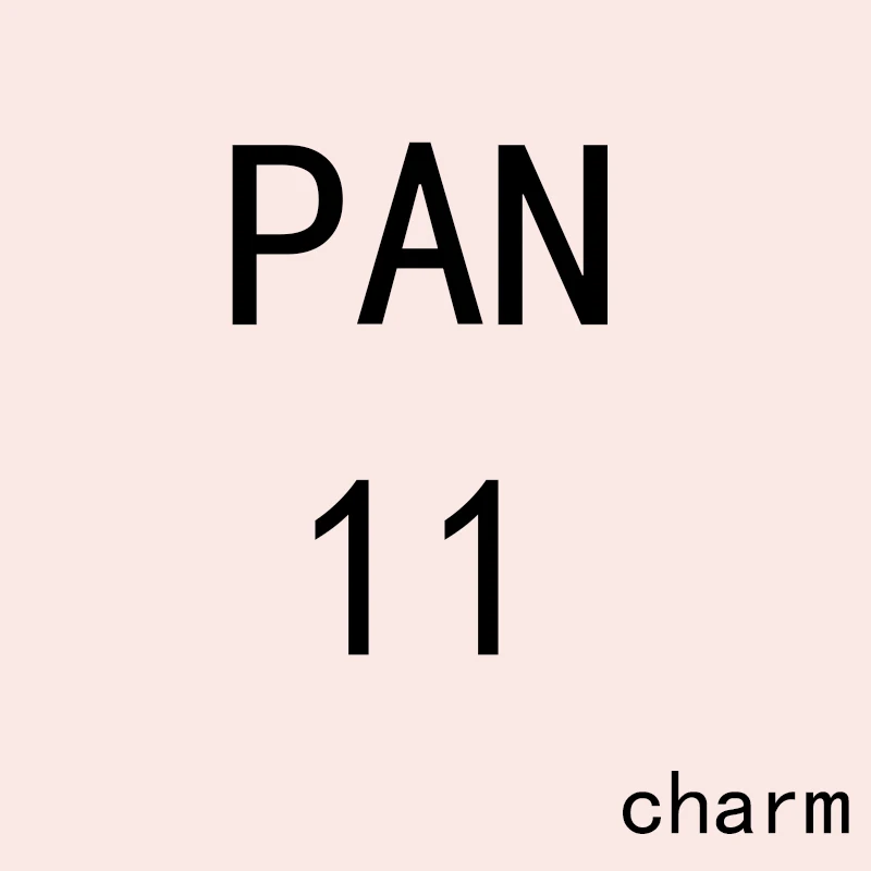 

PAN Charm 11