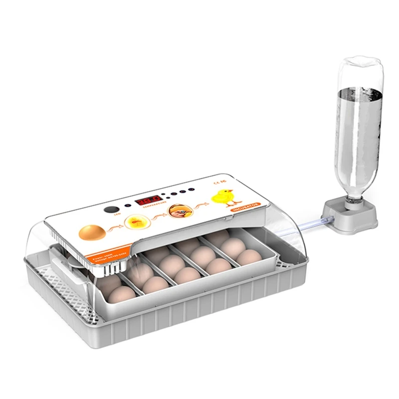 

20 Pcs Eggs Incubator Mini Eggs Incubator Household Automatic Incubator Farm Chicken Bird Incubator US Plug
