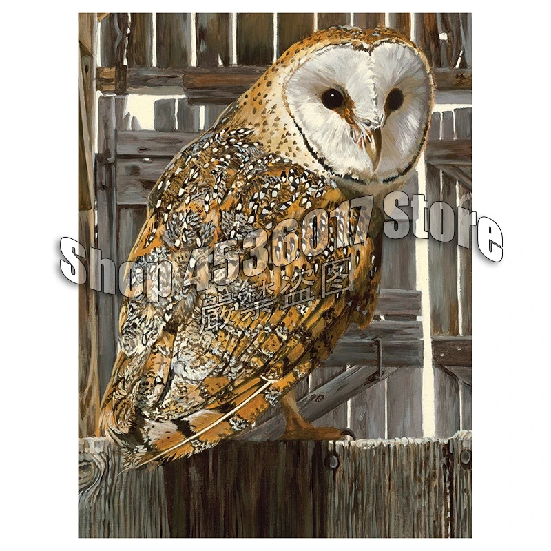 

Animals Birds Owl Full 5d Diy Diamond Painting Jewelry Cross Stitch Complete Kits Mosaic Embroidery Home Decoration Art Gift