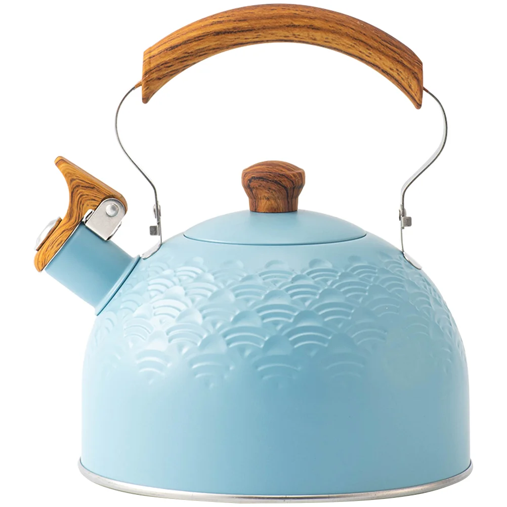

Whistling Kettle Practical Kettle Convenient Pot with Handle Kettle Pot for Boiling