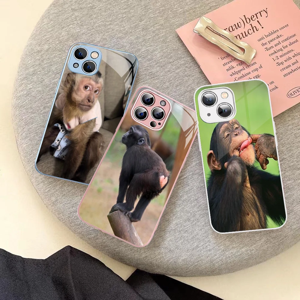 Чехол для телефона Monkey Sipping Caprisun Meme iPhone 14 13 12 Mini 11 Pro XS Max X XR Plus чехол из закаленного
