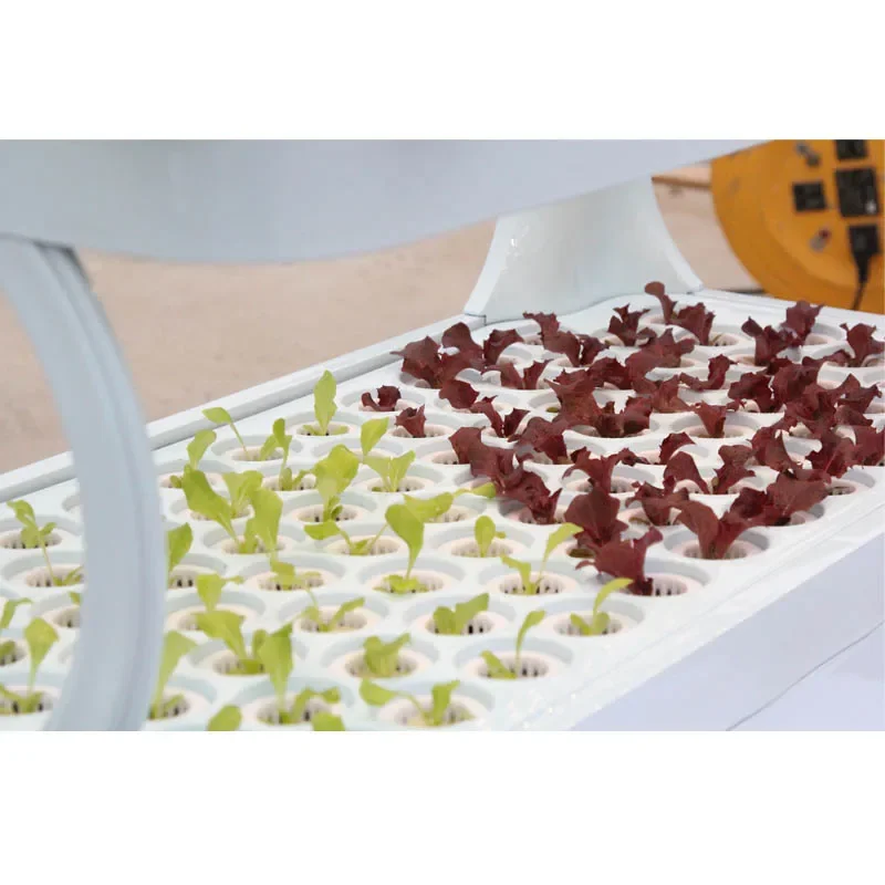 Автоматическая домашняя садовая умная ферма для выращивания гидропонной