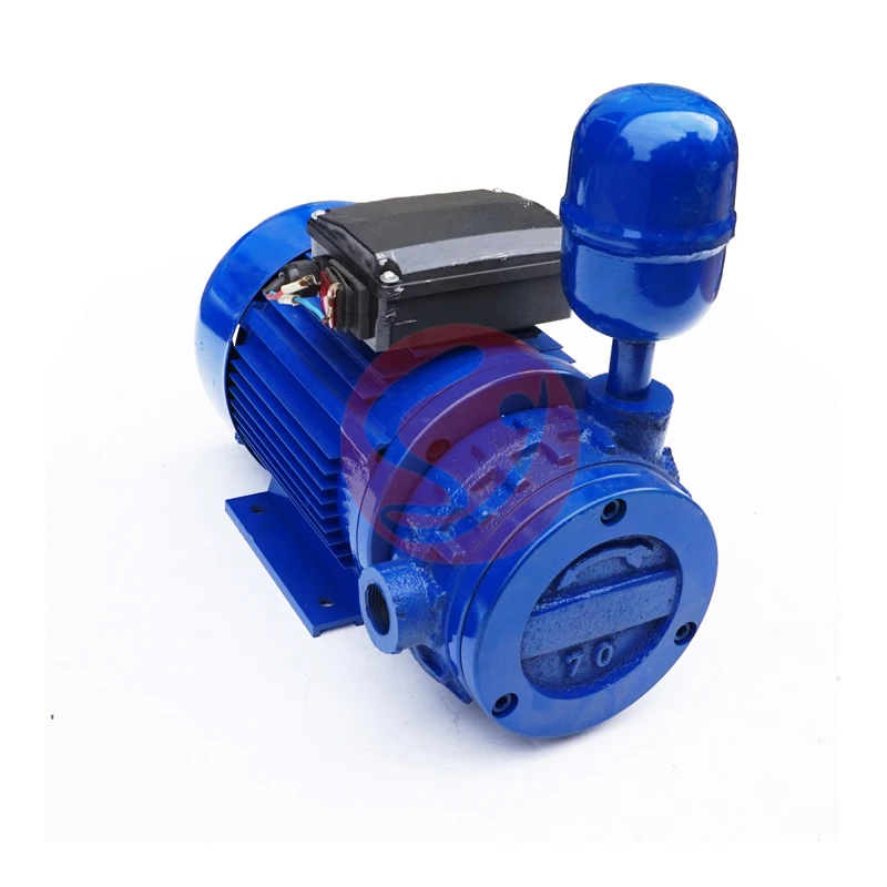 

Widely Used Milking Machine 200L Vacuum Pump Dry Wet Pump With Lowest Prices