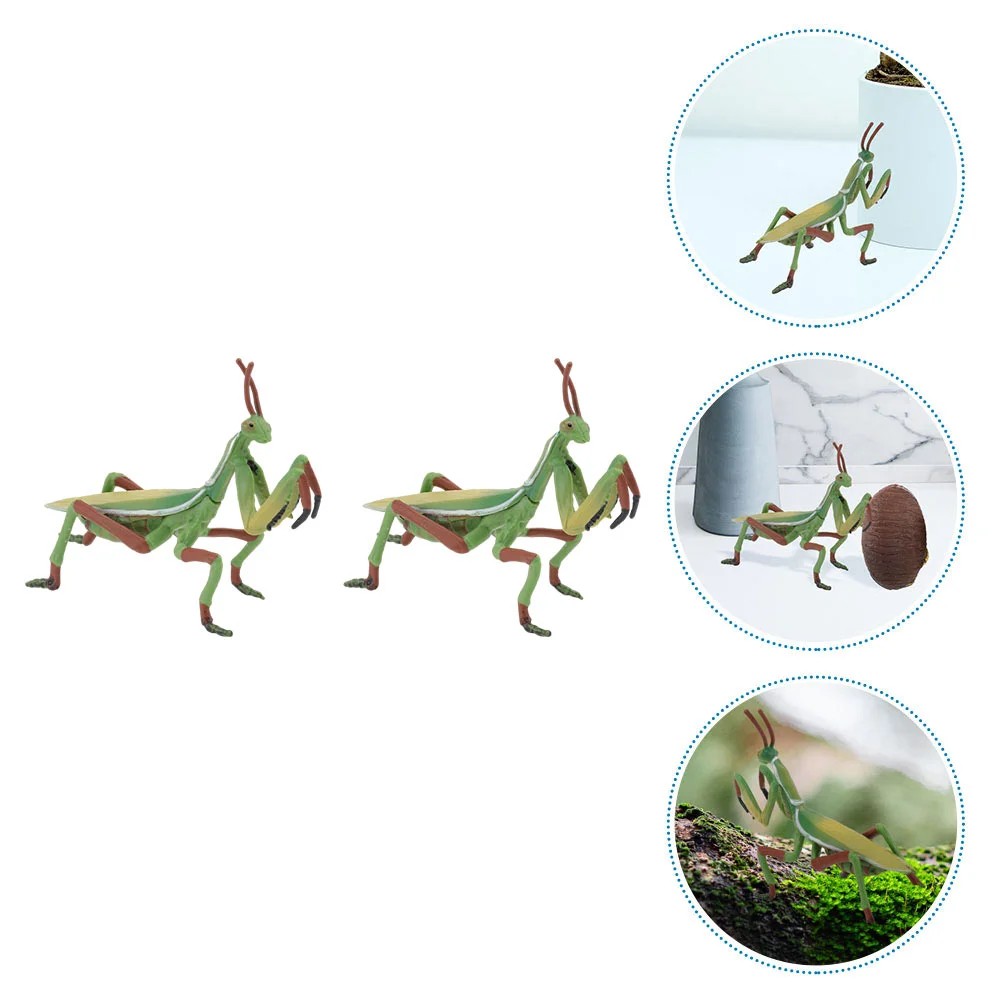 

2 Pcs Ornament Realistic Model Grasshopper Ornament