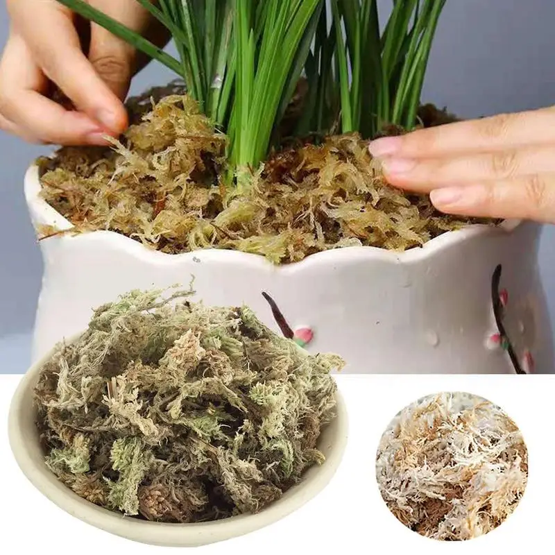 

Orchid Sphagnum Moss Dried High Quality Multifunction Garden Supplie Sphagnum Moss Moisturizing Nutrition For Orchids Succulent