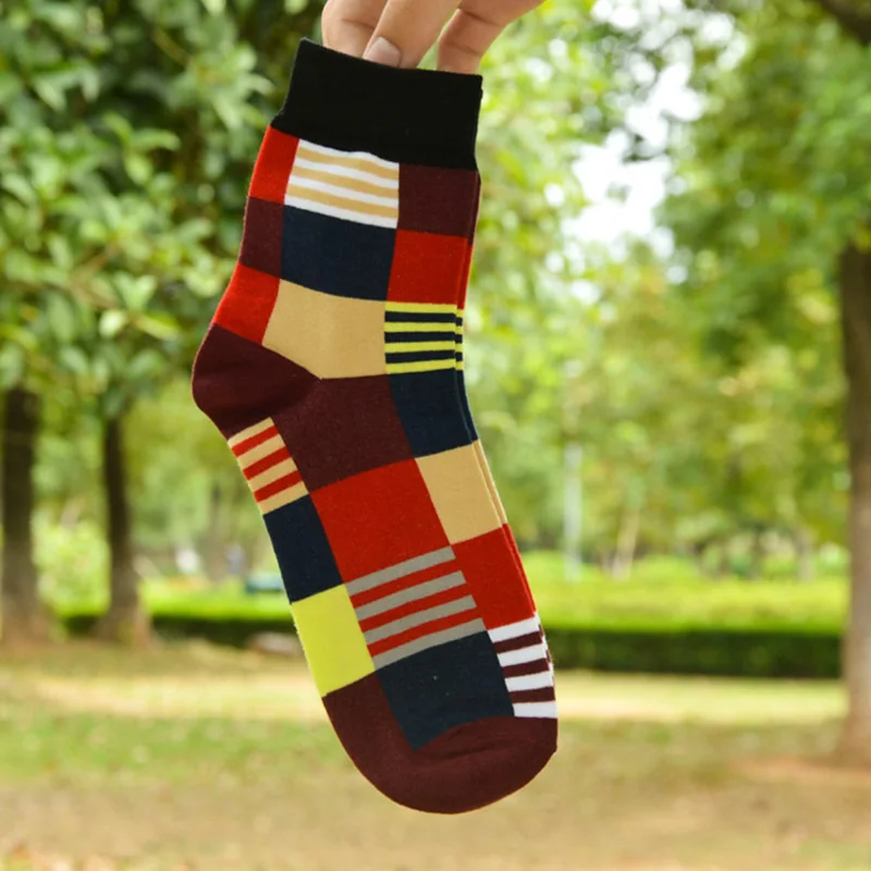 Рисунок 4 - Носки мужские хлопковые в клетку