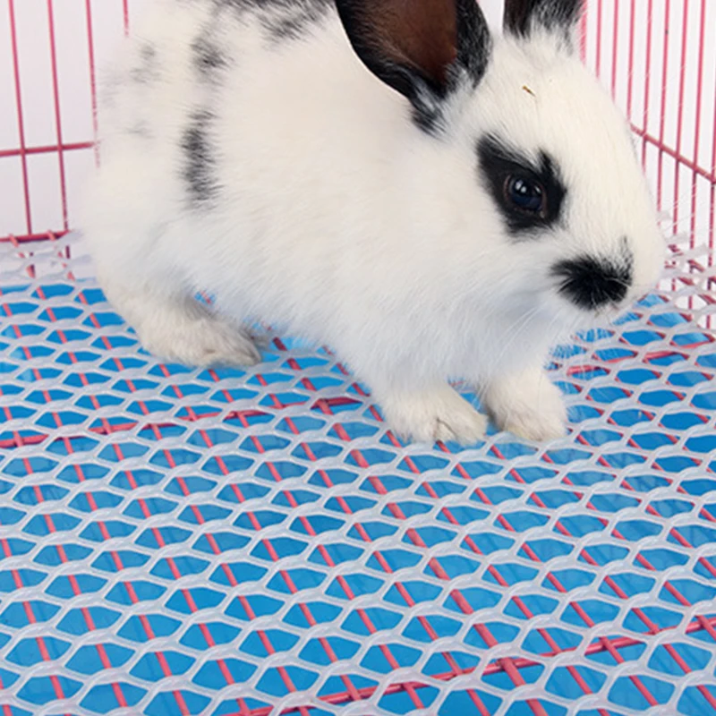 Пластиковые Сетчатые Кровати Для Кроликов Морских Свинок Хомяков - Герметичный