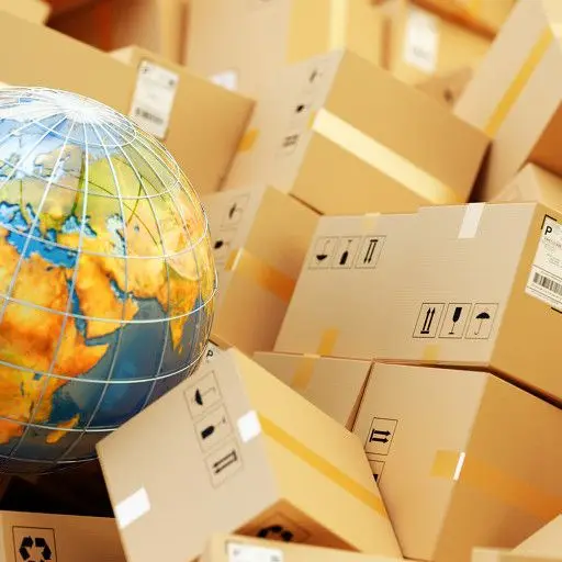 

Дополнительная стоимость доставки