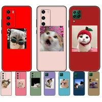 black tpu case for huawei p30 lite p30 pro p40 case for huawei p40 lite e p smart 2020 cover funy cute lovely cat kitty meow