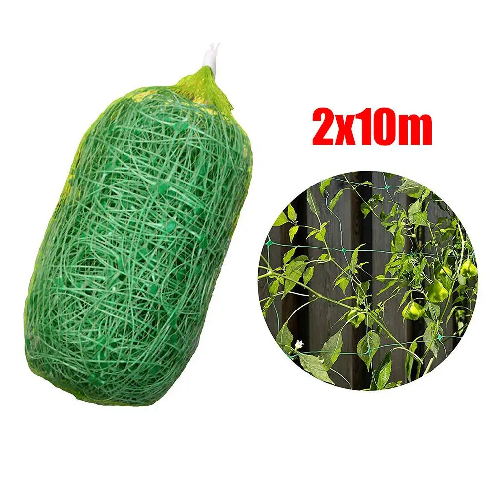 

Garden Fence Vegetable Plants Trellis Netting Bean Plant Climbing Anti-bird Net Climbing Frame Fence Lattice Gardening