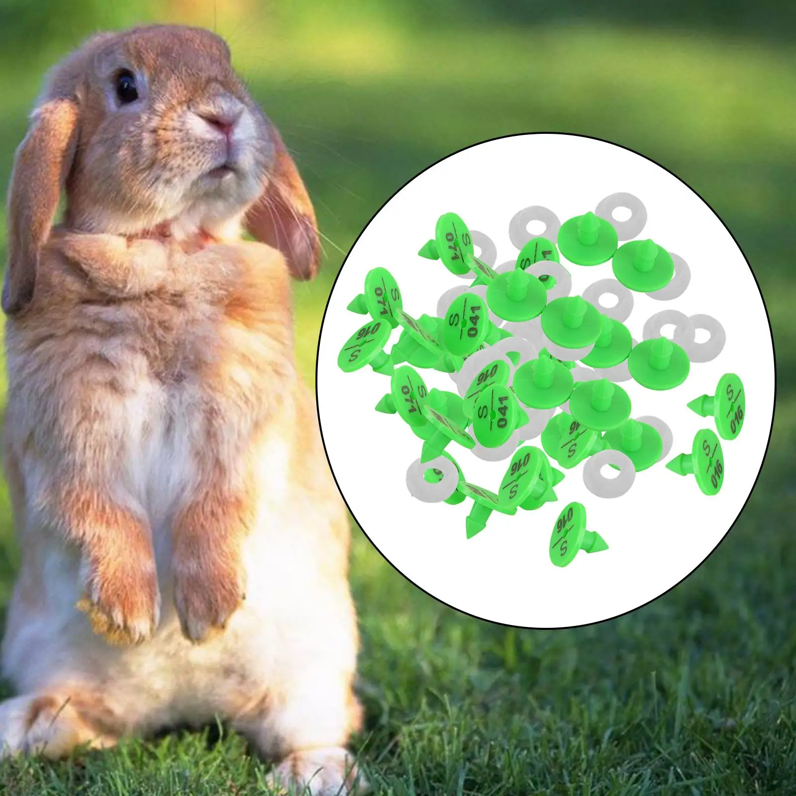 100 шт. Ушной бирка ABS зеленая анти-сбрасывание животного номера поставки идентификационная карта метка для скота козы коровы свиньи кролика.