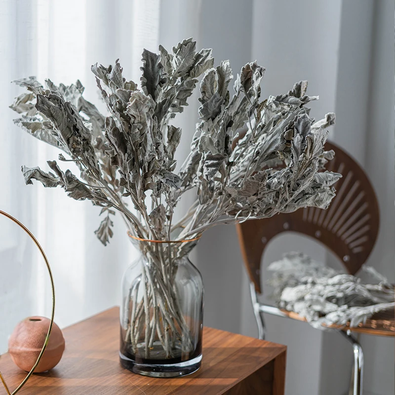 

5Pcs Natural Dried Flower Snow Leaf Chrysanthemum Leaves Hand-Held Bouquet Living Room Flower Arrangement Diy Flower Material