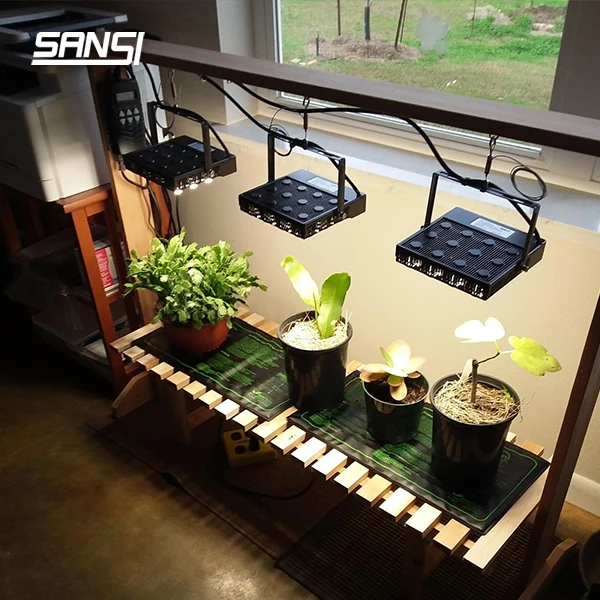 Veg Bloom Stage For In Door Vertical Farming