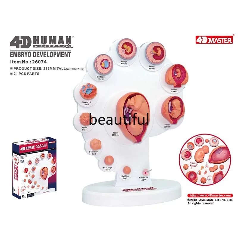 21 шт. Детский развивающий орган эмбиро