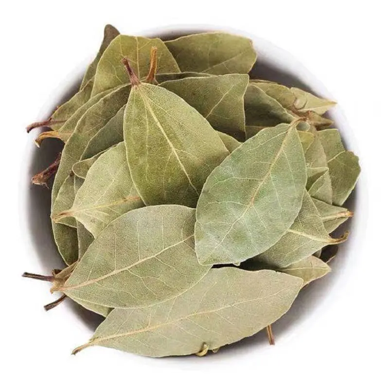 

Xiang Yue Gui Ye Spices Bay Leaves,Myrcia Folium Laurus Nobilis