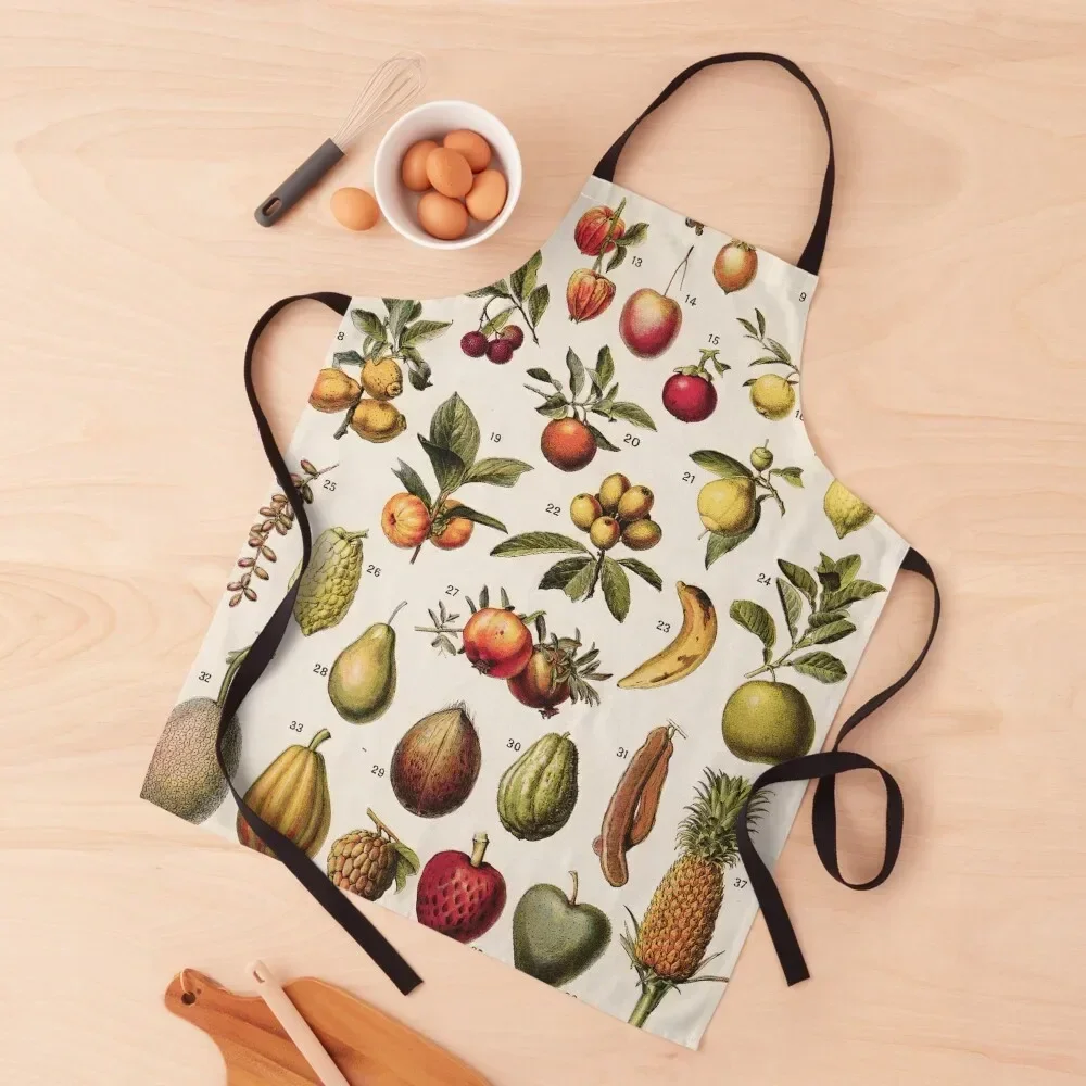 Адольффе Милота - Экзотические фрукты Фартук французской винтажной ботанической