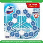 Domestos блок для очищения унитаза POWER 5 TRIO Свежесть океана 3X55 гр