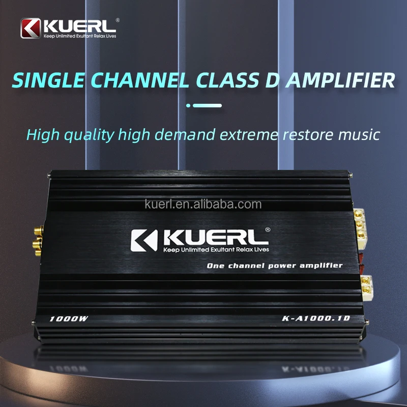 Горячий новый моноблок высокой мощности 12 В 1000 Вт класса D цифровой автомобильный