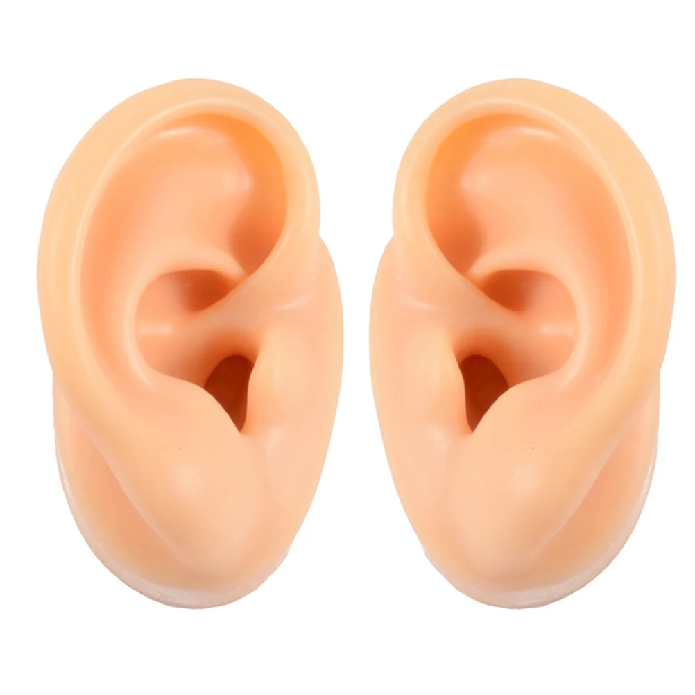 

2pcs Fake Ear Models Earrings Display Props Silicone Ear Models (Assorted Color)