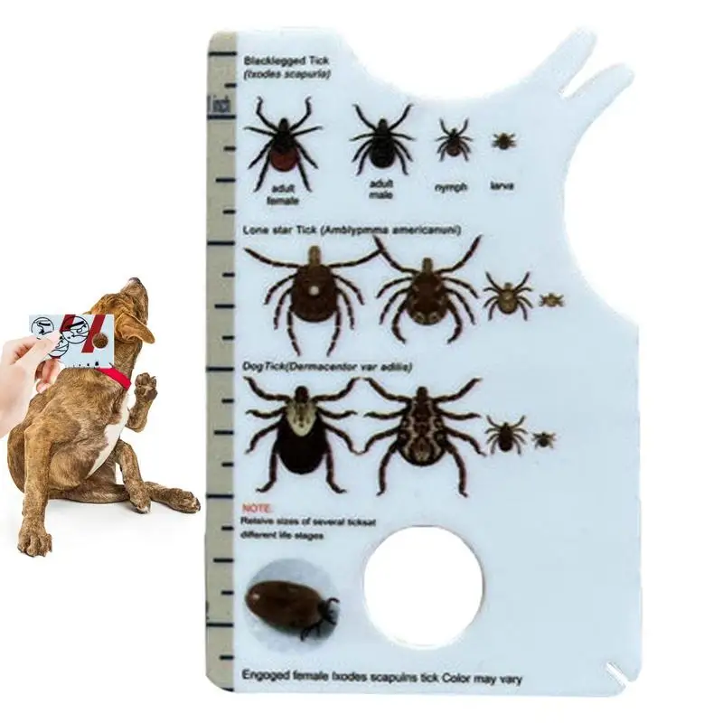 

Easy To Carry Magnifying Glass Pet Tick Catcher Sick Card For Quick And Gentle Tick Removal For Pets Or People Dogs And Cats