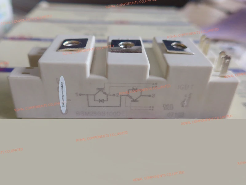 

BSM25GB100D